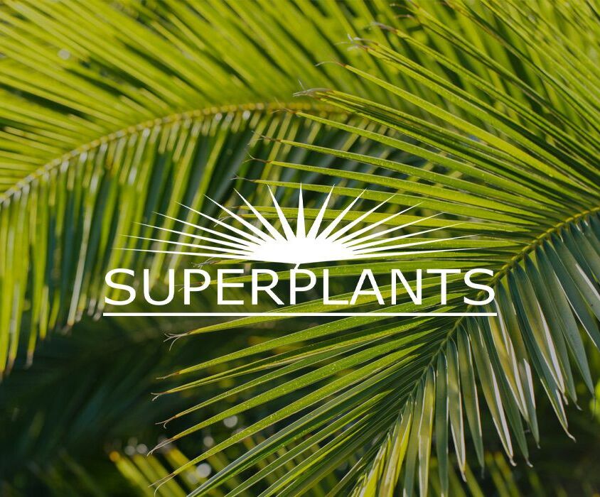 Superplants